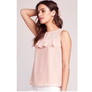 BB Dakota Blush Pink Swiss Dot Ruffle Blouse Sz Small Sleeveless Sheer Lined $78
